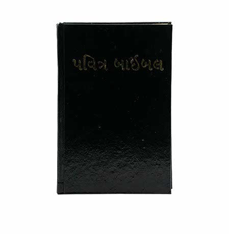 NIBV – HOLY BIBLE (GUJARATI) NIBV - HOLY BIBLE (GUJARATI)
