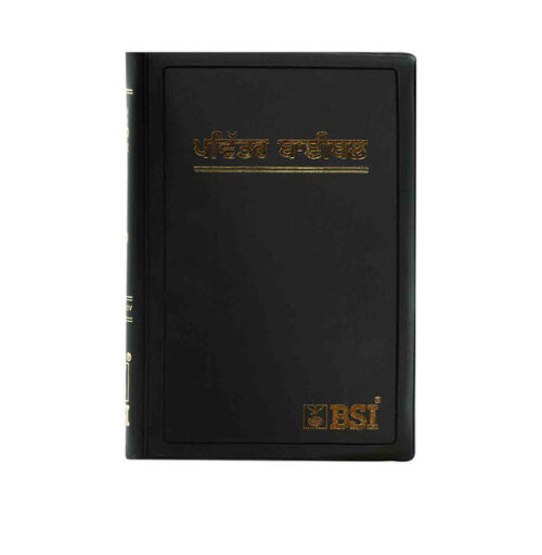 HOLY BIBLE (PUNJABI) HOLY BIBLE (PUNJABI)