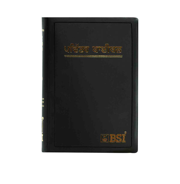 HOLY BIBLE (PUNJABI) HOLY BIBLE (PUNJABI)