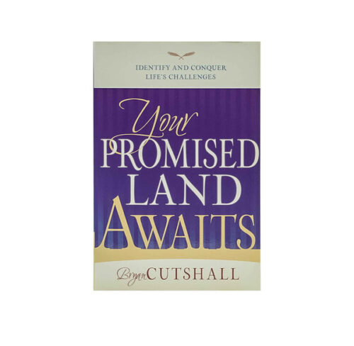 YOUR PROMISED LAND AWAITS: IDENTIFY AND CONQUER LIFE'S CHALLENGES