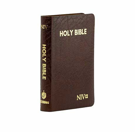 NIV HOLY BIBLE CAPSULE, CRANBERRY NIV HOLY BIBLE CAPSULE, CRANBERRY
