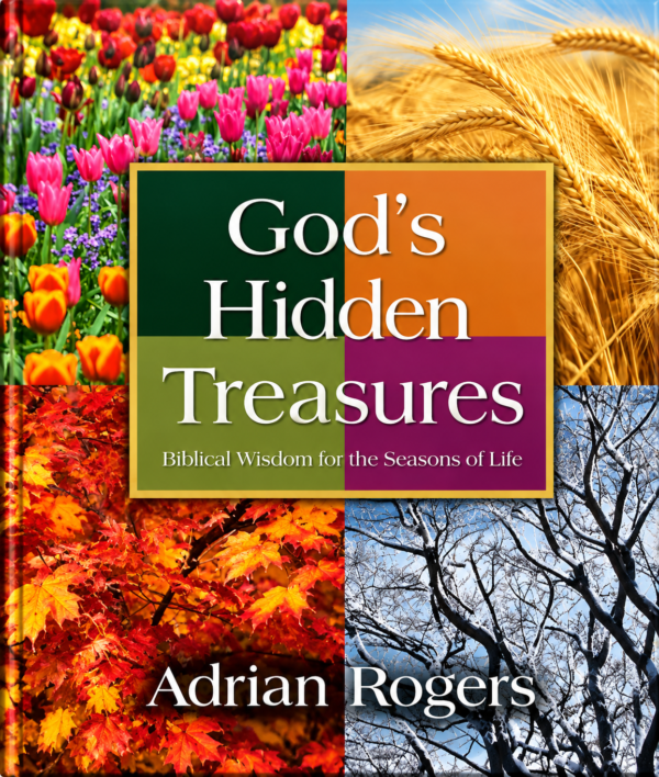 God's Hidden Treasures: Biblical Wisdom for the Seasons of Life