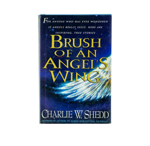 BRUSH OF ANGEL'S WING