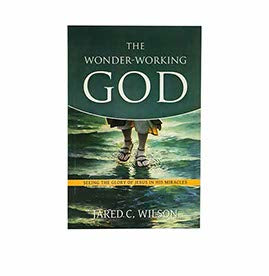 THE WONDER WORKING GOD