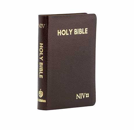 NIV HOLY BIBLE COMPACT GOLD EDGE BURGUNDY NIV HOLY BIBLE COMPACT GOLD EDGE BURGUNDY
