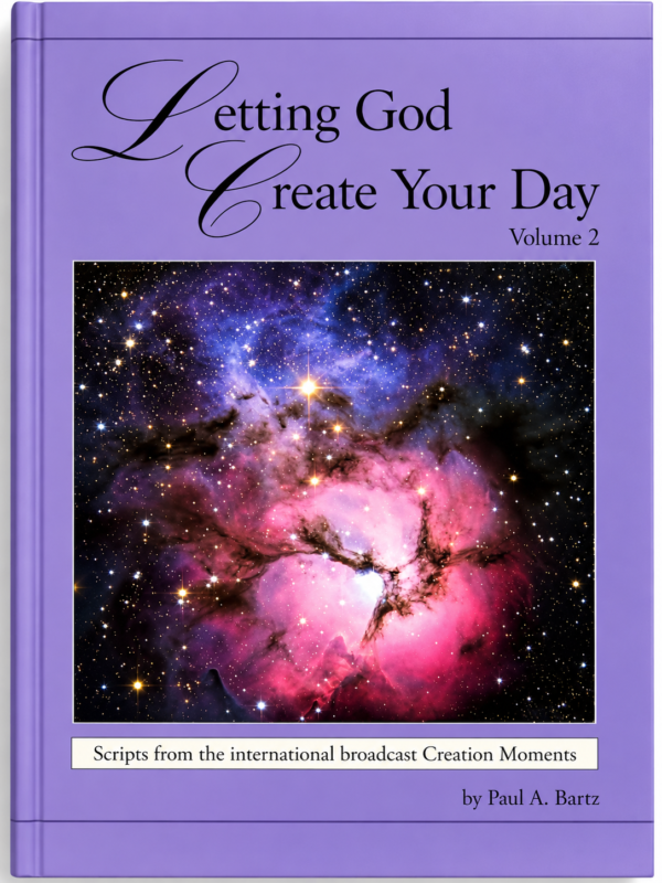 Letting God Create Your Day, Volume 2 (Pre-owned, Unused) Letting God Create Your Day, Volume 2 (Pre-owned, Unused)