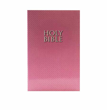 NIRV GIFT AND AWARD BIBLE NIRV GIFT AND AWARD BIBLE