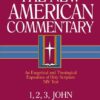 1,2,3 John: An Exegetical and Theological Exposition of Holy Scripture (Volume 38) (The New American Commentary)