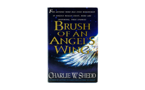 BRUSH OF AN ANGEL'S WING
