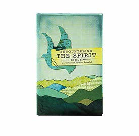 NIV ENCOUNTERING THE SPIRIT BIBLE, HARDCOVER (ENCOUNTER BIBLE SERIES): DISCOVER THE POWER OF THE HOLY SPIRIT NIV ENCOUNTERING THE SPIRIT BIBLE, HARDCOVER (ENCOUNTER BIBLE SERIES): DISCOVER THE POWER OF THE HOLY SPIRIT