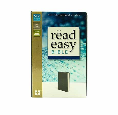 NIV READ EASY BIBLE, NIV READ EASY BIBLE,