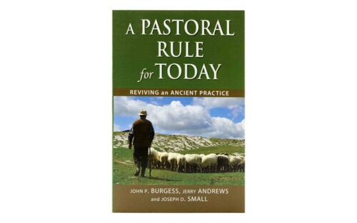 A Pastoral Rule for Today