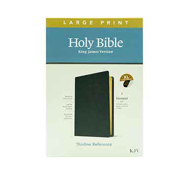 KJV LARGE PRINT THINLINE REFERENCE BIBLE: FILAMENT ENABLED KJV LARGE PRINT THINLINE REFERENCE BIBLE: FILAMENT ENABLED