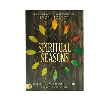 SPIRITUAL SEASONS: DISCERNING AND FLOURISHING IN EVERY SEASON OF LIFE