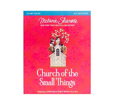 CHURCH OF THE SMALL THINGS BIBLE STUDY GUIDE: MAKING A DIFFERENCE RIGHT WHERE YOU ARE CHURCH OF THE SMALL THINGS BIBLE STUDY GUIDE: MAKING A DIFFERENCE RIGHT WHERE YOU ARE