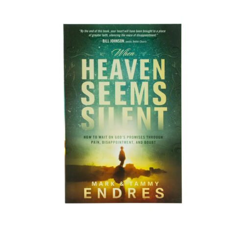 WHEN HEAVEN SEEMS SILENT: HOW TO WAIT ON GOD'S PROMISES THROUGH PAIN, DISAPPOINTMENT, AND DOUBT