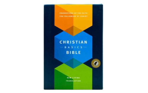 NLT THE CHRISTIAN BASICS BIBLE NLT THE CHRISTIAN BASICS BIBLE