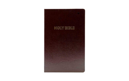 NIV Holy Bible (Anglicised edition)