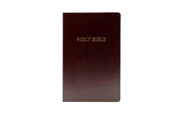 NIV Holy Bible (Anglicised edition) NIV Holy Bible (Anglicised edition)