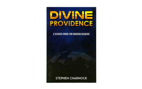 DIVINE PROVIDENCE: A CLASSIC WORK FOR MODERN READERS