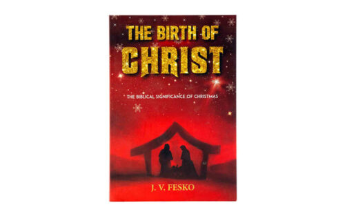 THE BIRTH OF CHRIST: THE BIBLICAL SIGNIFICANCE OF CHRISTMAS THE BIRTH OF CHRIST: THE BIBLICAL SIGNIFICANCE OF CHRISTMAS