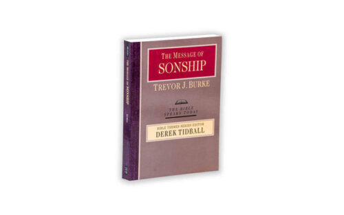 THE MESSAGE OF SONSHIP THE MESSAGE OF SONSHIP