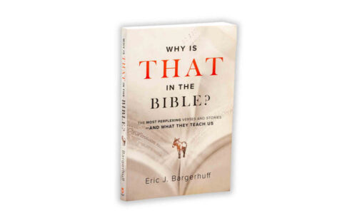 WHY IS THAT IN THE BIBLE