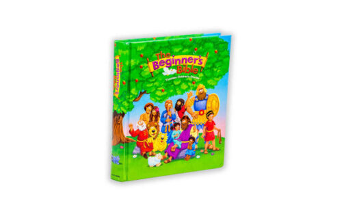 THE BEGINNER’S BIBLE: TIMELESS CHILDREN’S STORIES THE BEGINNER'S BIBLE: TIMELESS CHILDREN'S STORIES