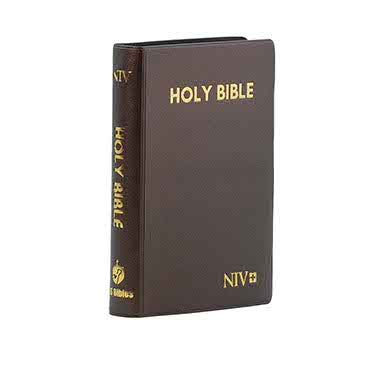 NIV COMPACT PEARL VINYL INDEXED BROWN NIV COMPACT PEARL VINYL INDEXED BROWN