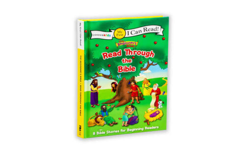 THE BEGINNERS BIBLE: READ THROUGH THE BIBLE THE BEGINNERS BIBLE: READ THROUGH THE BIBLE