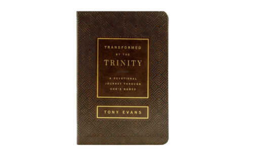 TRANSFORMED BY THE TRINITY: A DEVOTIONAL JOURNEY
