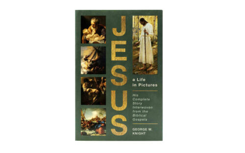 JESUS A LIFE IN PICTURES