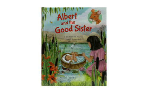 ALBERT AND THE GOOD SISTER