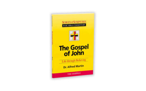 THE GOSPEL OF JOHN THE GOSPEL OF JOHN