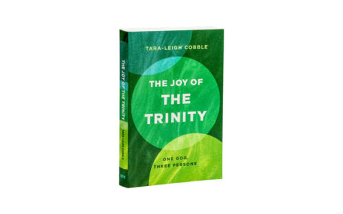 THE JOY OF THE TRINITY: ONE GOD, THREE PERSONS THE JOY OF THE TRINITY: ONE GOD, THREE PERSONS