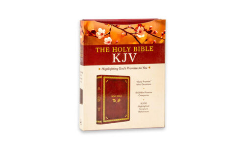 KJV-HOLY-BIBLE-TWO-YEAR-STUDY-PLAN KJV-HOLY-BIBLE-TWO-YEAR-STUDY-PLAN