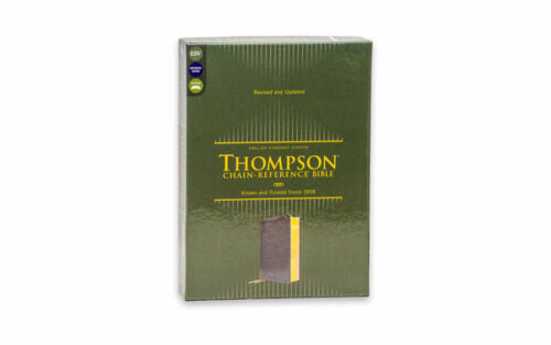 ESV-THOMPSON-CHAIN-REFERENCE-IMITATION-LEATHER