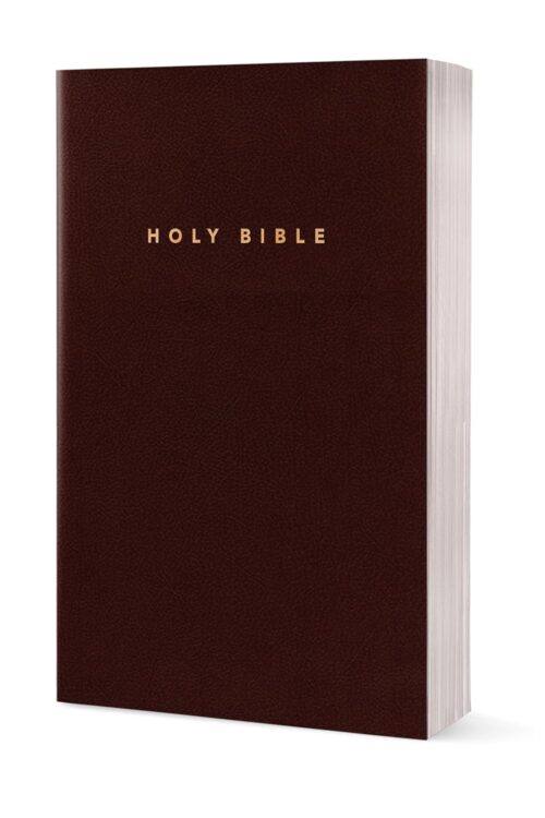 Holy Bible: New Living Translation, Burgundy Leather, Gift and Award Edition (Gift and Award Bible: New Living Translation-2) Imitation Leather Holy Bible: New Living Translation, Burgundy Leather, Gift and Award Edition (Gift and Award Bible: New Living Translation-2) Imitation Leather