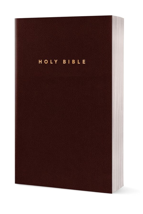 Holy Bible: New Living Translation, Burgundy Leather, Gift and Award Edition (Gift and Award Bible: New Living Translation-2) Imitation Leather Holy Bible: New Living Translation, Burgundy Leather, Gift and Award Edition (Gift and Award Bible: New Living Translation-2) Imitation Leather