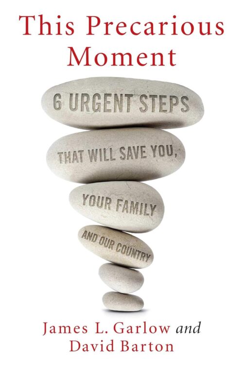 This Precarious Moment: Six Urgent Steps that Will Save You, Your Family, and Our Country Hardcover – September 4, 2018