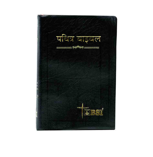 HOLY BIBLE (HINDI) HOLY BIBLE (HINDI)
