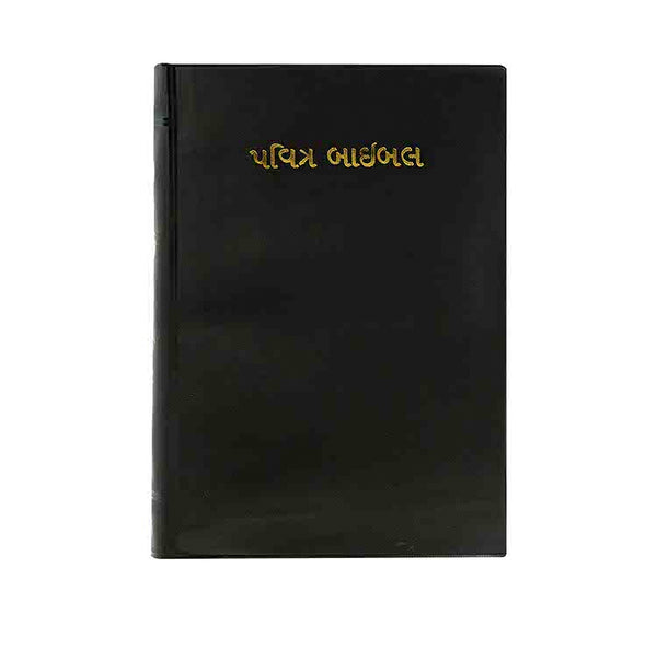 HOLY BIBLE (GUJARATI) HOLY BIBLE (GUJARATI)