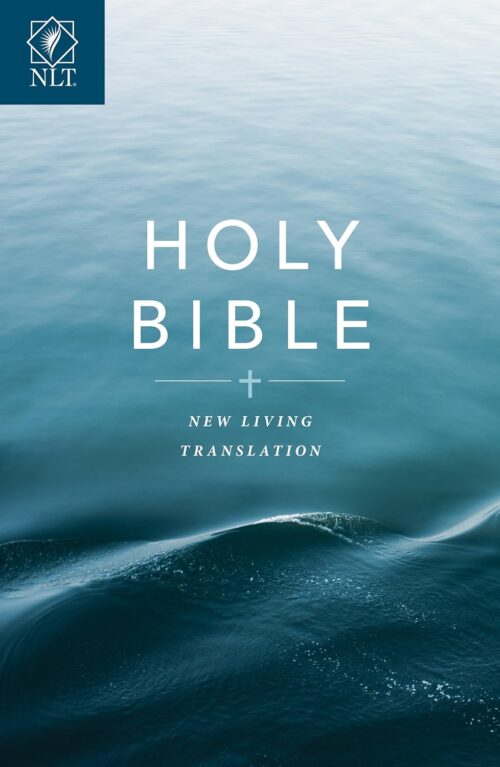 Gift And Award Bible: Nlt Paperback Gift And Award Bible: Nlt Paperback