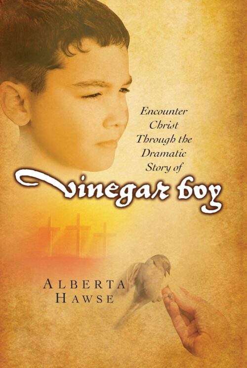 Vinegar Boy (Pre-owned, Unused)