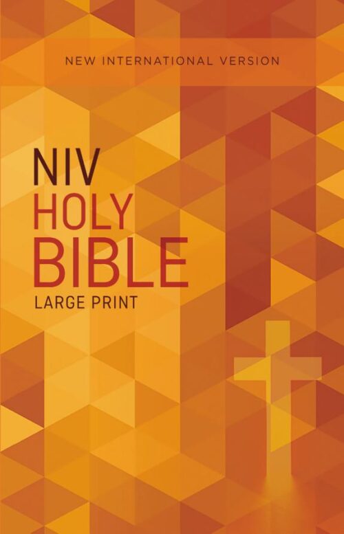 NIV Large Print Outreach Bible