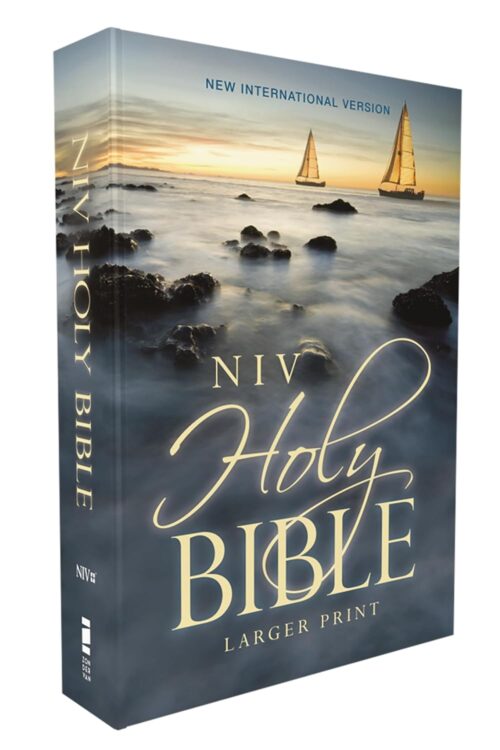 NIV Larger Print Economy Bible