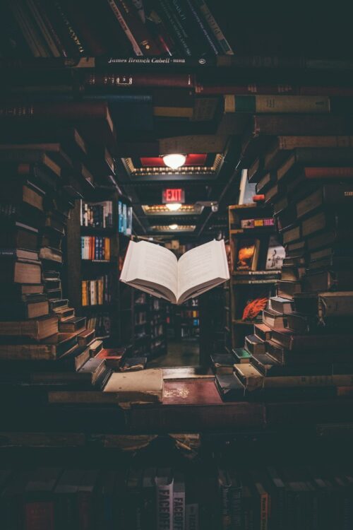 NASB Study Bible